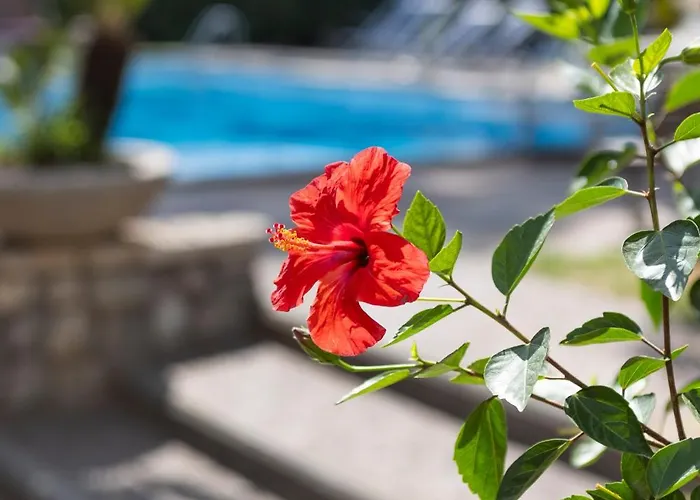 Sorrento Luxury Hotel *