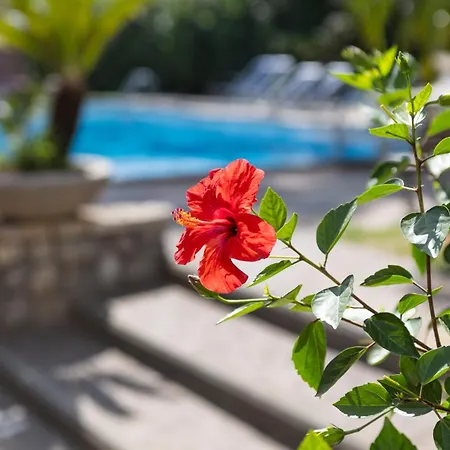 Sorrento Luxury Hotel *